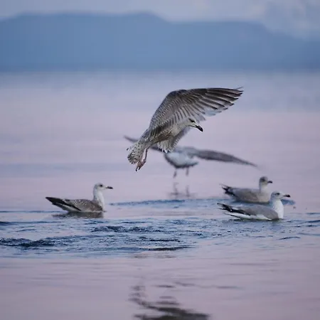 Solstrand Hotel&bad Osøyro