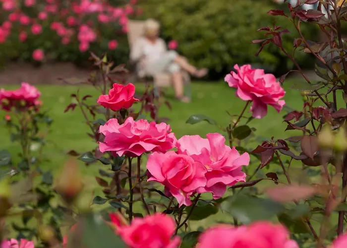 酒店 Solstrand & Bad 4*