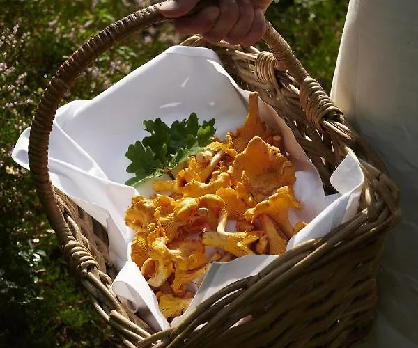 Solstrand & Bad 4* Osøyro