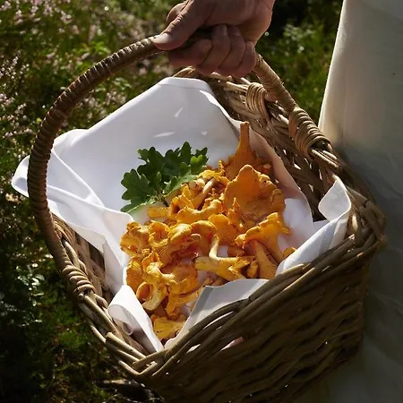 Solstrand & Bad 4* Osøyro